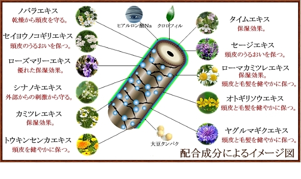 配合している毛髪補修・保湿成分